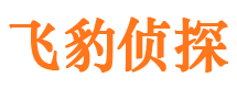 保亭市婚外情调查